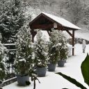 hátsókert télen / backyard in winter